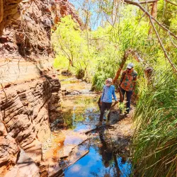 Dales Gorge - Tom Price