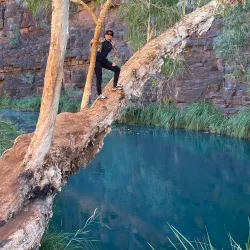 Dales Gorge - Tom Price