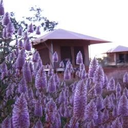 Karijini Eco Retreat - Tom Price