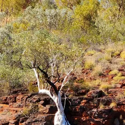 Karijini National Park - Tom Price