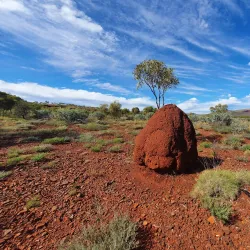 Karijini National Park - Tom Price