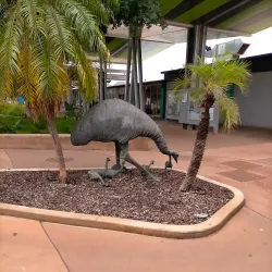 Tom Price Lookout - Tom Price