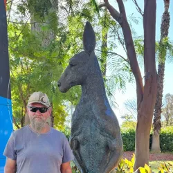 Tom Price Visitor Centre - Tom Price