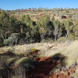 Weano Gorge - Tom Price