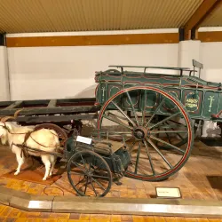 Cobb+Co Museum - Toowoomba