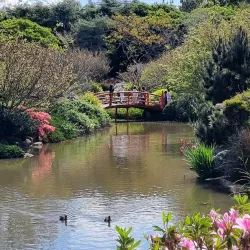 Japanese Gardens - Toowoomba