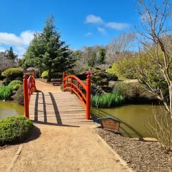 Japanese Gardens - Toowoomba