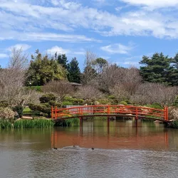 Japanese Gardens - Toowoomba