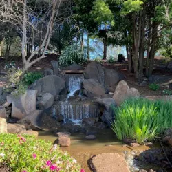 Japanese Gardens - Toowoomba