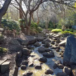 Japanese Gardens - Toowoomba