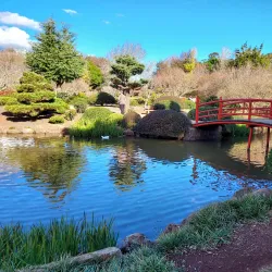 Japanese Gardens - Toowoomba