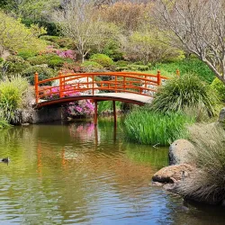 Japanese Gardens - Toowoomba