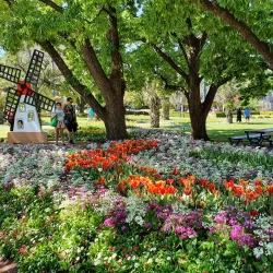 Laurel Bank Park - Toowoomba