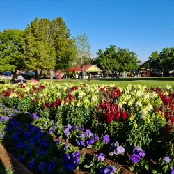 Laurel Bank Park - Toowoomba