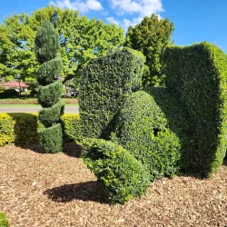 Laurel Bank Park - Toowoomba