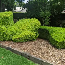 Laurel Bank Park - Toowoomba