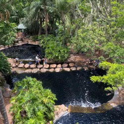 Picnic Point Lookout and Parklands - Toowoomba