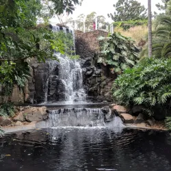 Picnic Point Lookout and Parklands - Toowoomba