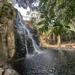 Picnic Point Lookout and Parklands - Toowoomba