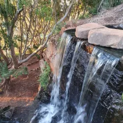 Picnic Point Lookout and Parklands - Toowoomba
