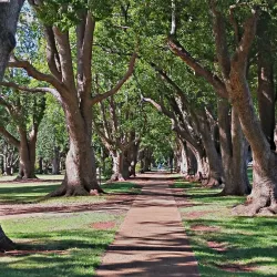 Queens Park and Botanic Gardens - Toowoomba
