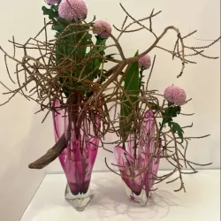 Toowoomba Regional Art Gallery - Toowoomba