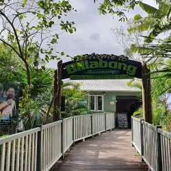 Billabong Sanctuary - Townsville