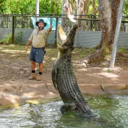 Billabong Sanctuary - Townsville