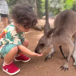 Billabong Sanctuary - Townsville