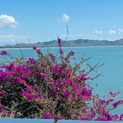 Jezzine Barracks Precinct - Townsville