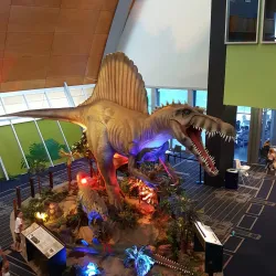 Museum of Tropical Queensland - Townsville