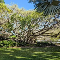 Queens Gardens - Townsville