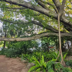 Queens Gardens - Townsville