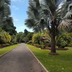 Queens Gardens - Townsville