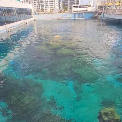 Reef HQ Great Barrier Reef Aquarium - Townsville