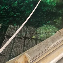 Reef HQ Great Barrier Reef Aquarium - Townsville