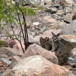Ross River Dam - Townsville
