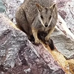 Ross River Dam - Townsville