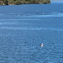 Ross River Dam - Townsville