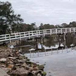 Budgewoi State Park - Tuggerah