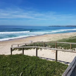 Budgewoi State Park - Tuggerah