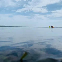 Budgewoi State Park - Tuggerah