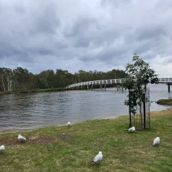 Budgewoi State Park - Tuggerah