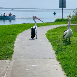 The Entrance Beach - Tuggerah