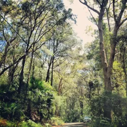 Tuggerah Nature Reserve - Tuggerah