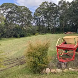 Wyong Regional Museum - Tuggerah