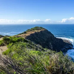 Wyrrabalong National Park - Tuggerah