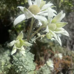 Wyrrabalong National Park - Tuggerah
