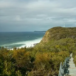 Wyrrabalong National Park - Tuggerah