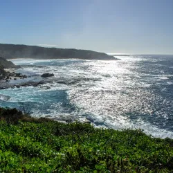Wyrrabalong National Park - Tuggerah